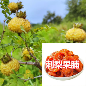 Dried wild prickly pear 500g  补VC 刺梨干 刺梨果脯 水果干 果蔬干 蜜饯果肉 酸甜健康零食 Dried wild prickly pear 500g