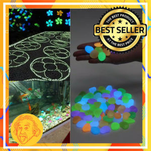 (ISI 10PCS) Batu Hias Aquarium Taman Menyala Glow In The Dark Pebbles Stone Garden Einstein-Store