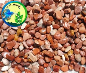 BATU KORAL MERAH HATI 1KG DEKORASI AQUASCAPE