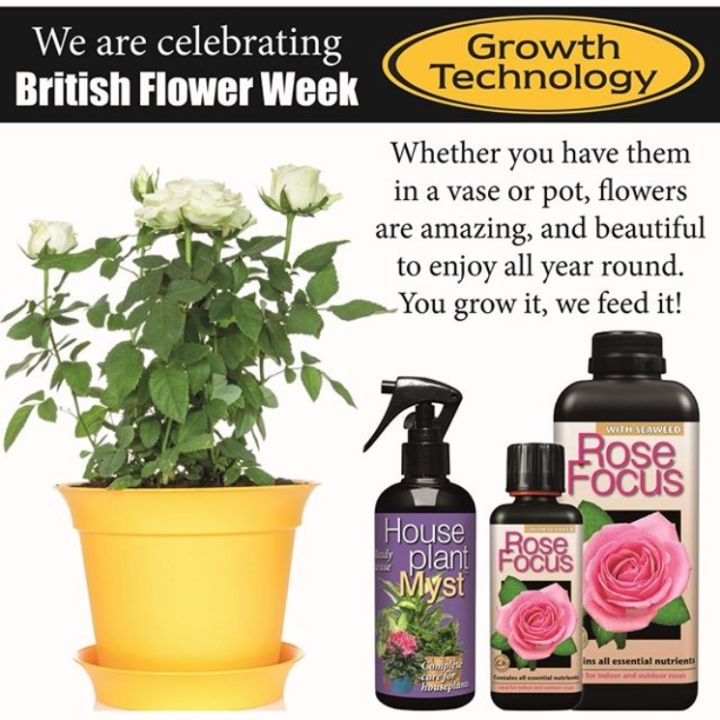 Growth%20Technology%20Rose%20Focus%20300ml%20Rose%20Fertilizer%20with%20Seaweed%20Contains%20All%20Essential%20Nutrients%20Ideal%20for%20Indoor%20and%20Outdoor%20Roses%20-%20Image%209