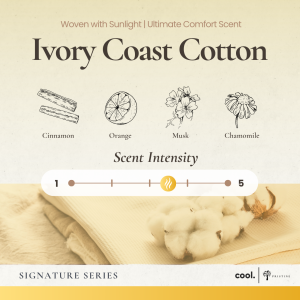 Pristine Aroma Concentrate | Signature Series | Water Soluble Essential Oil Mix | Award Winning Scent | 10ml | For Humidifier