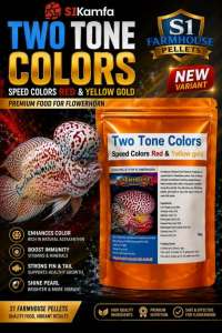 S1 Kamfa Farmhouse Thailand Flowerhorn Fish Food 100g