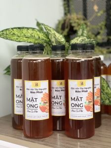 Mật ong hoa cà phê Đăk Lăk - Combo 5 chai 1 lít
