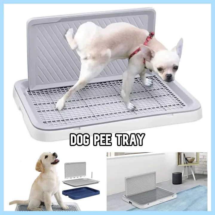 Puppy Pee Tray
