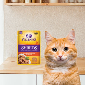 Wellness Complete Health - Healthy Indulgence Morsels / Gravies / Shreds Wet Cat Food 3oz (85g)