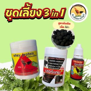 ชุดเลี้ยง 3 in 1 เวย์ไก่ ทองแดง ลูกกลอน