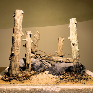 Layout rừng setup sẵn cho bể cá thủy sinh lũa đá tự nhiên chỉ việc dùng đủ kích thước cho các bể