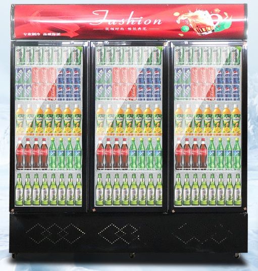 door shop commercial fridge vertical freezer fruit juice