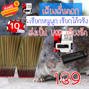 เสียงต่อ เสียงสั่นตอก เรียกหนู ล่อหนู แฟลชไดร์ฟเสียงสั่นตอก  สำหรับต่อหรือล่อนก ความยาว 10 ชม.เสียงดัง เสียงใสกังวาน ได้ผล100%