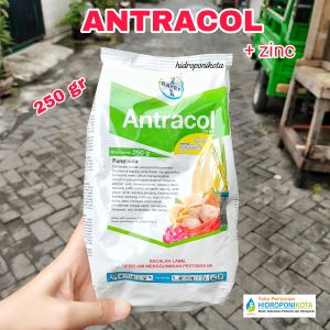 Fungisida ANTRACOL 70WP + ZINC isi 250 gram ORI 100% - Fungisida Anti Jamur Antracol 70 WP