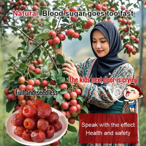 【Sweet and Sour Appetizer】Hollow Hawthorn Independent Packaging Healthy Non-Core Candied Snacks Non-Added Non-Sugar-Free Dried Fruit Ball Dried Fresh Hawthorne Berry山楂蜜饯果干