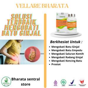 Obat Batu Ginjal Ampuh Obat Kencing Batu & Prostat Obat Batu Empedu VELLARE BHARATA