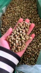 Cafe CULI Đăk Lăk quả chín lựa tay 500g