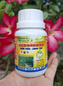[TRUNG THIEN THINH] Chất bám dính trợ lực cho phân bón SIÊU BÁM DÍNH thẩm thấu loang trải thấm sâu nhanh lưu dẫn kéo dài chai 100ml