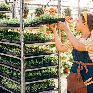 128 Holes Seedling Trays: A Comprehensive Guide