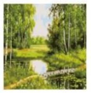 DIY Acrylic Paint by Number Animals and Landscape designs. Perfect or All occasions Gift. Canvass on Frame already with hook and screw. 40cm c 50cm