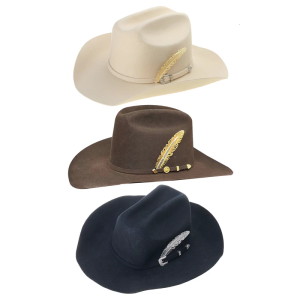 Feathered Wool Hat for Music Festival Adult Winter Autumn Hat Formal Event Fedoras Stage Show Hat Women Men Headpiece