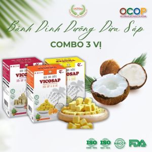 Combo 3 Bánh dinh dưỡng VICOSAP làm từ dừa sáp không chiên qua dầu ăn vặt healthy cho bé