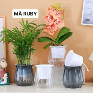 COMBO 2 CHẬU chậu trồng cây để bànchậu thủy sinhchậu tự dưỡng các loại kích thước 11x13cm