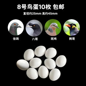 Parrot Fake Egg Bird Parrot Simulation Solid Egg Munia Tiger Skin Peony Black Phoenix Bird Egg