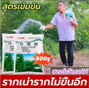 รากเน่ารากไม่ขึ้นอีก!! ยากำจัดต้นไม้ สารกำจัดกอไผ่ ผงกำจัดต้นไผ่ ยาฆ่าตอไม้ 500g สูตรเข้มข้น กำจัดวัชพืชรากเน่า ผลติดทนนาน ไม่เป็
