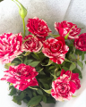 Benih Bunga Rose Jepun - 玫瑰种子 Mixed 6 Seeds Rose Flower Seeds Japanese Roses Plants Seeds for Planting Biji Benih Bunga Pokok Bunga Hidup Pokok Bunga Hidup Tahan Panas Bonsai Tree Live Plant Air Plant Real Plant Indoor Plants Flower Seeds Malaysia. 