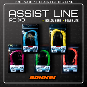 Assist Line PE X8 Hollow Core Power Link Gankei Murah Berkualitas