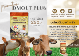 อาหารวัว DMOLT PLUS  ดีมอลต์ พลัส เอนไซม์และแร่ธาตุเพื่อการเจริญเติบโต