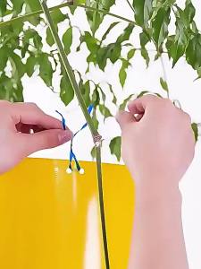 Dizoey 100PCS Strong Sticky Insect Trap Double-sided Fruit Fly Traps Bugs Yellow Sticky Board Plant Flower Pest Control Catcher Insect Killer