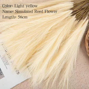 12PCS fluffy artificial Pampas grass artificial flower 56cm long stem Pampas grass branch wedding home decoration