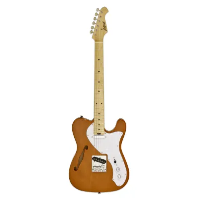กีตาร์ไฟฟ้า ARIA PRO II 615-TL แอเรีย Electric Guitars ฟรีกระเป๋า ARIA GIGBAG