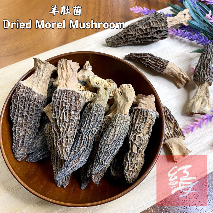 Red%20Sea%20Herbs%20%E7%BE%8A%E8%82%9A%E8%8F%8C%2038g%20%7C%20Dried%20Morel%20Mushroom/Morchella%20%20%E9%AB%98%E5%93%81%E8%B4%A8%E5%B9%B2%E8%B4%A7%20%7C%20%E5%A4%A9%E7%84%B6%E9%87%8E%E7%94%9F%E8%8F%8C%20%7C%20%E5%85%BB%E7%94%9F%E7%85%B2%E6%B1%A4%E4%BD%B3%E5%93%81%20%7C%20Malaysia%20Stock%20%7C%20%E9%80%81%E7%A4%BC%E4%BD%B3%E5%93%81%20-%20Image%202