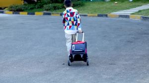 Childrens Trolley Backpack for Primary School Boys 1-3-5-6 Grade Girls Waterproof Lightweight Large Capacity 6-12 One Year Old