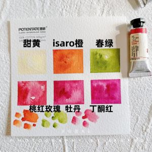 Belgium Isaro Artist Watercolor Paint 70 Colors acuarela Split Limited Color 6 Color Set Professional Drawing Art Supplies
