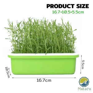 Makayo กล่องเพาะถั่วงอก ถาดเพาะต้นอ่อน ไม่ต้องใช้ดิน นำกลับมาใช้ใหม่ได้ สำหรับมือใหม่ 1ชุด bean sprouts tray