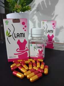 LAMI BPOM [ MENGURANGI LEMAK TUBUH ] DIET ALAMI