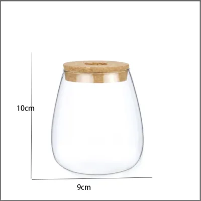 ขวดแก้วพืชไฮโดรโปนิกส์แบบ Borosilicate สูง - หม้อดอกไม้ไฮโดรโปนิกส์และขวดน้ำแก้วเพื่อปลูกพืชไฮโดรโปนิกส์ ด้วยคุณภาพที่ดีและความทนทาน