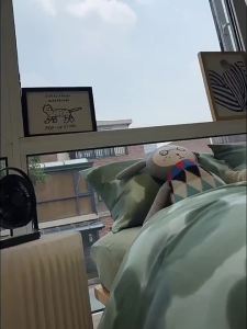 Simple Bed Sheet Four-Piece Set Pure Washed Cotton Quilt Cover Pillowcase Student Quilt Dormitory Bedding Full Set Three-Piece Set LZD