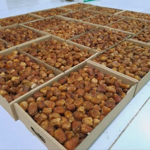 kurma Sukari/kurma madu/kurma raja 3kg