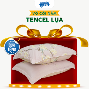 [QUÀ TẶNG KHÔNG BÁN - GIAO MẪU NGẪU NHIÊN] Vỏ Áo Gối Nằm Gối Ôm Tencel Lụa Á CHÂU 2 Món Mịn Mướt Thấm Hút Mồ Hôi Họa Tiết Sang Trọng Không Co Rút Khi Giặt