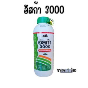 อัลก้า 3000 ขนาด 1 กิโลกรัม ช่วยเร่งฟื้นฟูต้น เร่งการแตกใบอ่อน ช่วยเร่งการออกดอก #แอลเจอะโกร