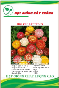 Hạt giống hoa cúc bất tử nhiều màu CT427 - Gói 50 hạt