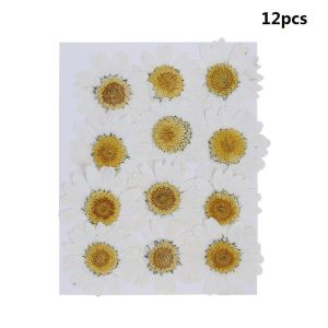 YUDESHUI 12PCS/Bag Colorful Resin Makeup Art Daisy Artificial flowers Pressed Jewelry Making