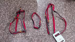 2026 Hot Sale [ Shipped from China ] Pipi Tao dog leashsupplies harness and leash denim harnessdog leash B3