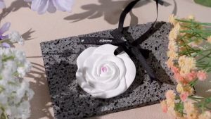 Aromatherapy hanging for wardrobe Camellia gypsum scent pendant closet & car deodorant air freshener