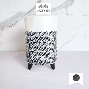 The Leaferie Dottie Plant pot Ceramic flowerpot flower plant pots planter planters