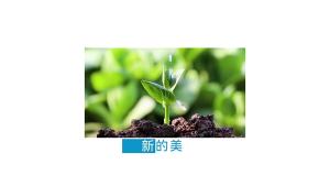 คลิปสากลขนาดเกลียว 17 มม. คลิปขยายได้ 66-95 มม. ใช้สำหรับการถ่ายภาพสดสำหรับเลนส์และสมาร์ทโฟนส่วนใหญ่