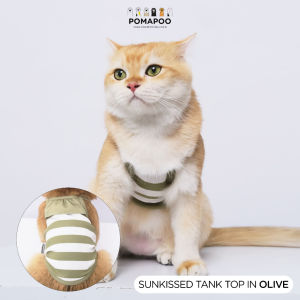 Pomapoo - Baju Kucing dan Baju Anjing Sunkissed Tank Top