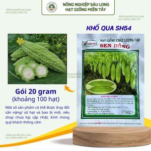 Hạt giống khổ qua sh54 sen hồng gói 100 hạt.