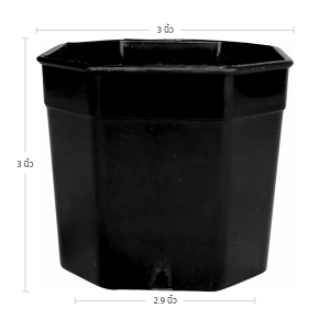 กระถาง กระถางแคคตัส กระถางแปดเหลี่ยม 3 นิ้ว สีดำ Bundle 100 ใบ ชิ้น อัน